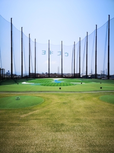 aJUraCYzeerZZFePZFwH.jpg?w=940&h=940