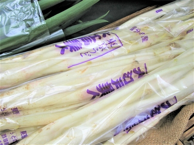 aJyAbaOfxuBMAPAkBfLO.jpg?w=940&h=940