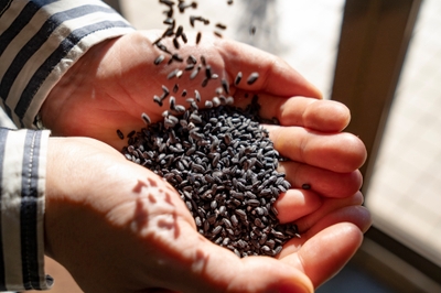 aKqPd9UH56CO5CmZ3X8X.jpg?w=940&h=940