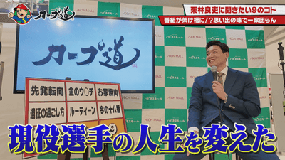 aLFe4jg5EcNhdui2CRKk.png?w=940&h=940