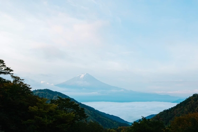 aMbBaEkmZAnPUTf8ucbr.jpg?w=940&h=940