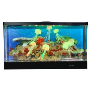 aMz1TBgk6nbnCaOrVX39.jpg?w=940&h=940