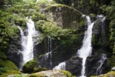 小さな渓谷の中の滝壺に落ちる「轟の滝」