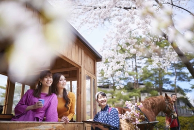 aNax62JtgPdu6hUvzW0c.jpg?w=940&h=940