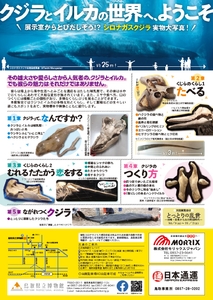 aO5RFIIx82jaN2mjtuKz.jpg?w=940&h=940