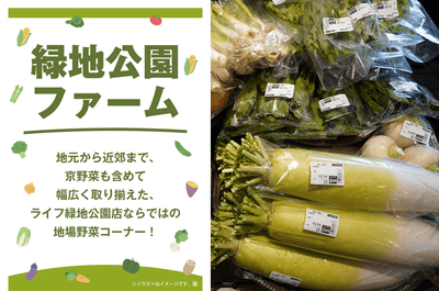 aOaBq1WdRCde6xpIfpYd.png?w=940&h=940