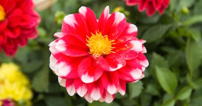 aOw6URHwbQetwMmRrvpV.jpg?w=940&h=940