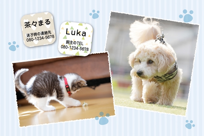 子犬や子猫にも使える迷子シール