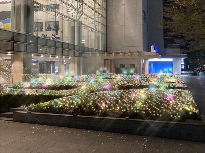 【けやき通り側　植栽画像】