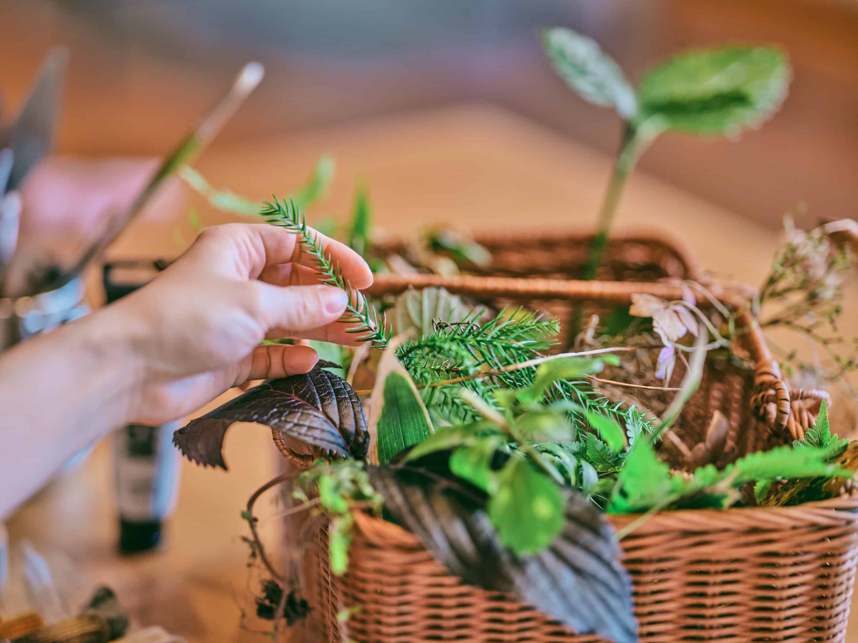 自然素材イメージ