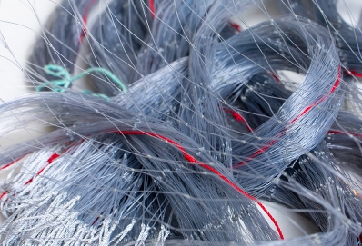 aRnGm598pZgBfdB80GTu.jpg?w=940&h=940