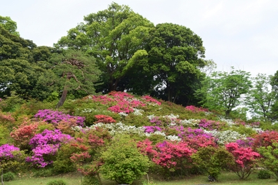 aS63o1kXor595LRtdY2g.jpg?w=940&h=940