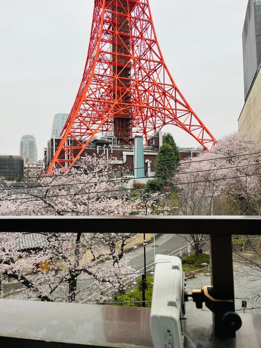 タワシタ(ライブストリーミング)