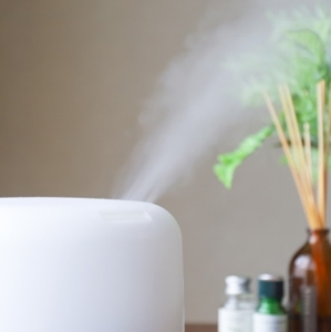 aUFQV732Vjp3JYpPA4vc.jpg?w=940&h=940