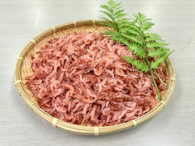 静岡市観光政策課 提供