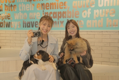 aV8EuWYgYV9WJL6xDy37.JPG?w=940&h=940