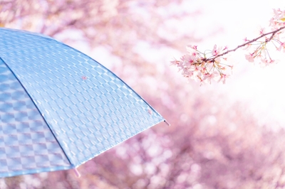 aVEhF7HCaC5zdCOk9Y46.jpg?w=940&h=940