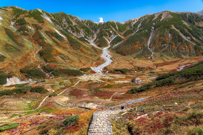 立山雷鳥沢:イナガキヤストさん撮影