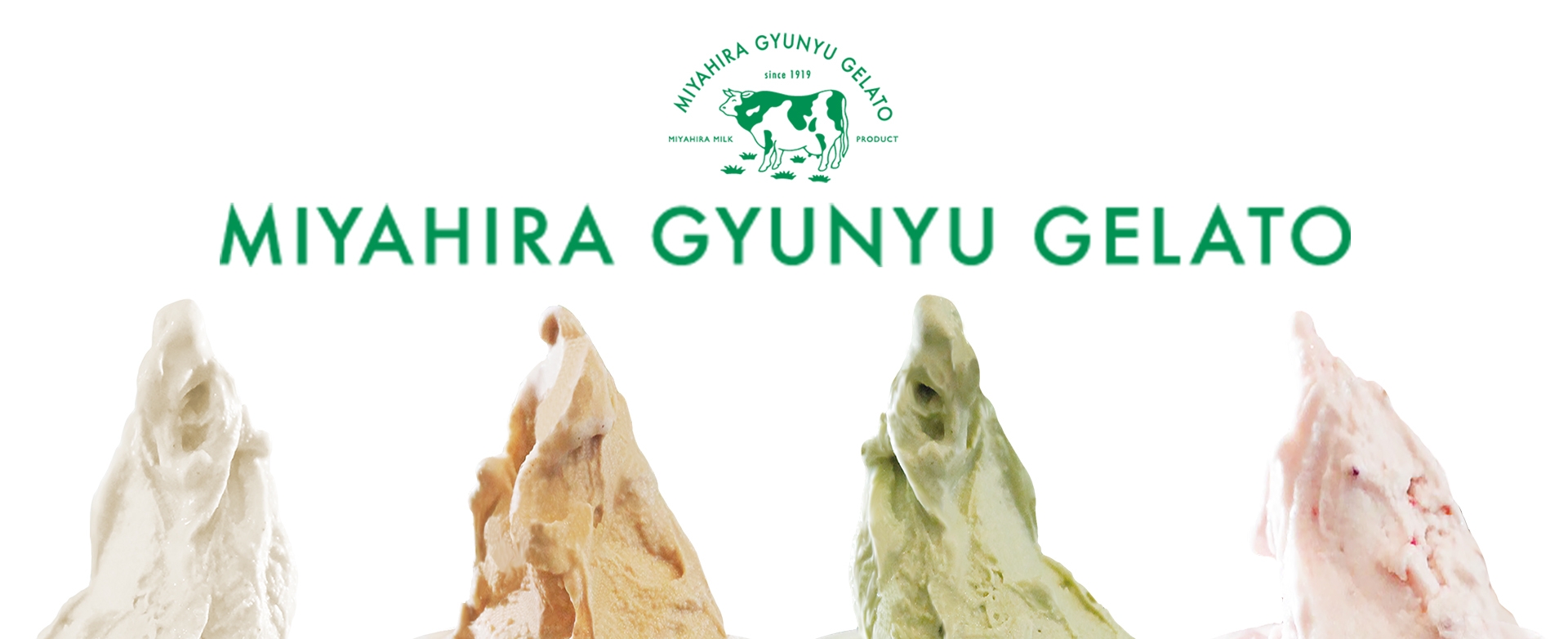 沖縄の老舗牛乳屋さんが作る こだわりジェラート誕生!