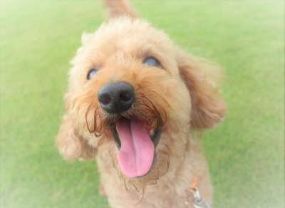 aZ03dHqPIIPAHQI9JNMM.jpeg?w=940&h=940