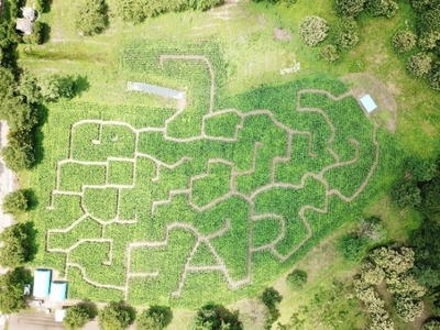 aZr7vxDjS11Vo2Uvu3hp.jpeg?w=940&h=940