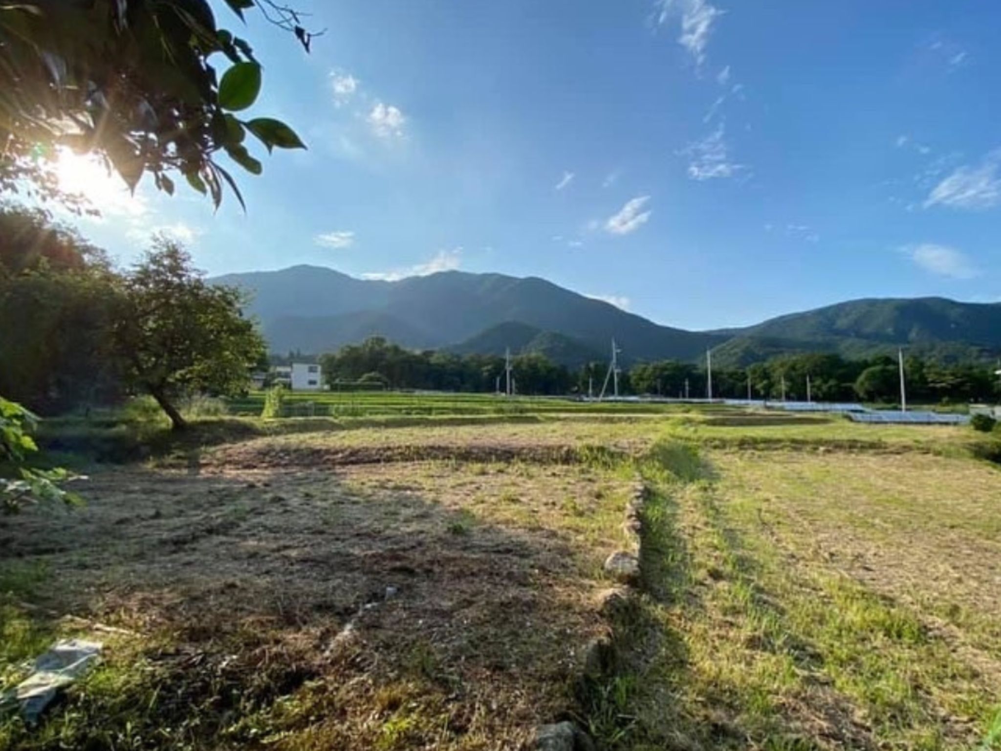 裏の広場&畑スペース