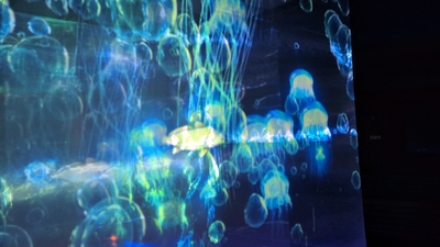 acULCpsBTpdXqpJlZZoM.jpg?w=940&h=940