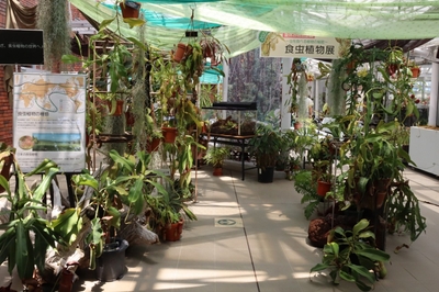 acYjLIJyZpGBAPbhTk7I.jpg?w=940&h=940