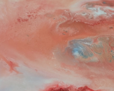 acoxhtxMMpGHLH3XOlf3.jpg?w=940&h=940