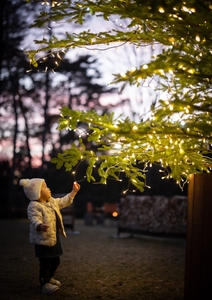 ad0bvmTigw7QtlCMwn9b.jpg?w=940&h=940