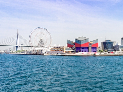 ad9ADGvvTgbKvO1cwZlZ.jpg?w=940&h=940