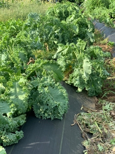 adY9XUiRztPEE39Z1oof.jpg?w=940&h=940