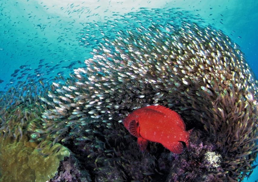 環境大臣賞「躍動」 谷口 常雄