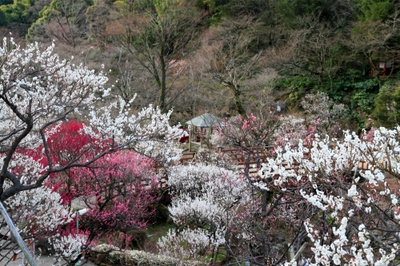 aeC61tJlqbVyfVKLnyCT.jpg?w=940&h=940