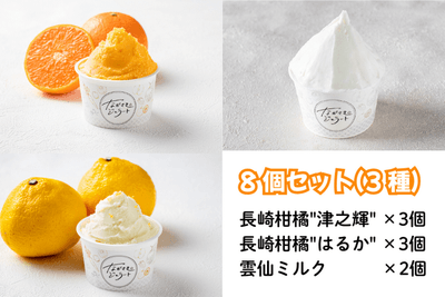 ながさきジェラート 長崎柑橘食べ比べ８個セット