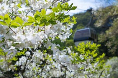 afTwBv8qku2gXz55DMiM.jpg?w=940&h=940