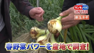 agEI9RpGpvLZpfMWIoso.jpg?w=940&h=940