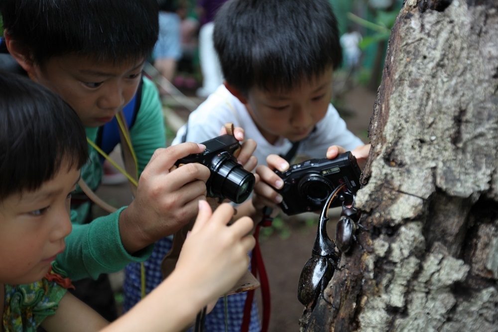 ヘラクレスオオカブト撮影は大人気!