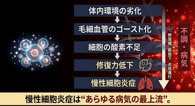 ahUofDijrZMwhS69aLoG.png?w=940&h=940