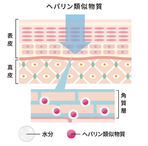 ahpkbS3ZhDmfqTFV7yOE.png?w=940&h=940