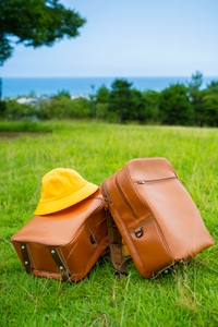 ahzN0cOoS6dkC8nlSObi.jpg?w=940&h=940