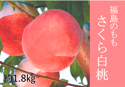 ajlPSlFKKJ0uyVxPFbjL.png?w=940&h=940