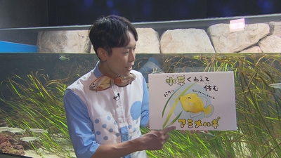 ajx3EKjTLKam0DpfkRdG.jpg?w=940&h=940