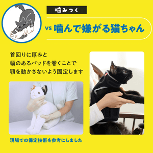 akgON3N6FkAd0SP2zXpW.png?w=940&h=940