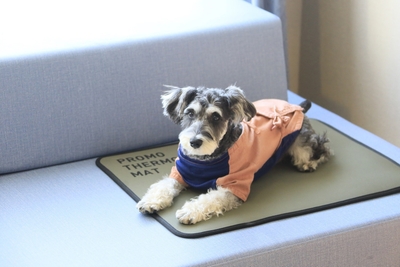 alSzMOWRt2KevddfPCxD.jpg?w=940&h=940