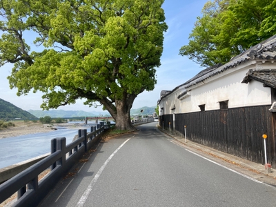 alqCi4XdHO9X2Er1X9by.jpg?w=940&h=940