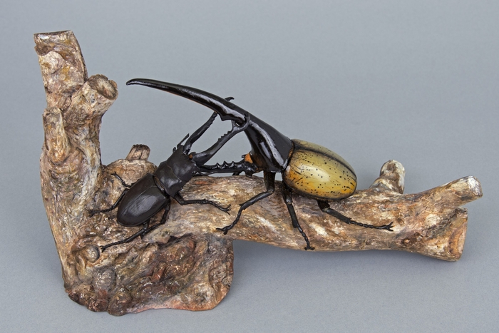 【2024年】 木彫ヘラクレスオオカブトとギラファノコギリクワガタ