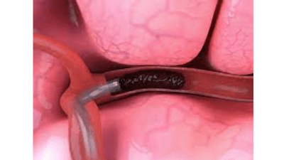 apDuqVmB37iiMhQrwgAX.png?w=940&h=940