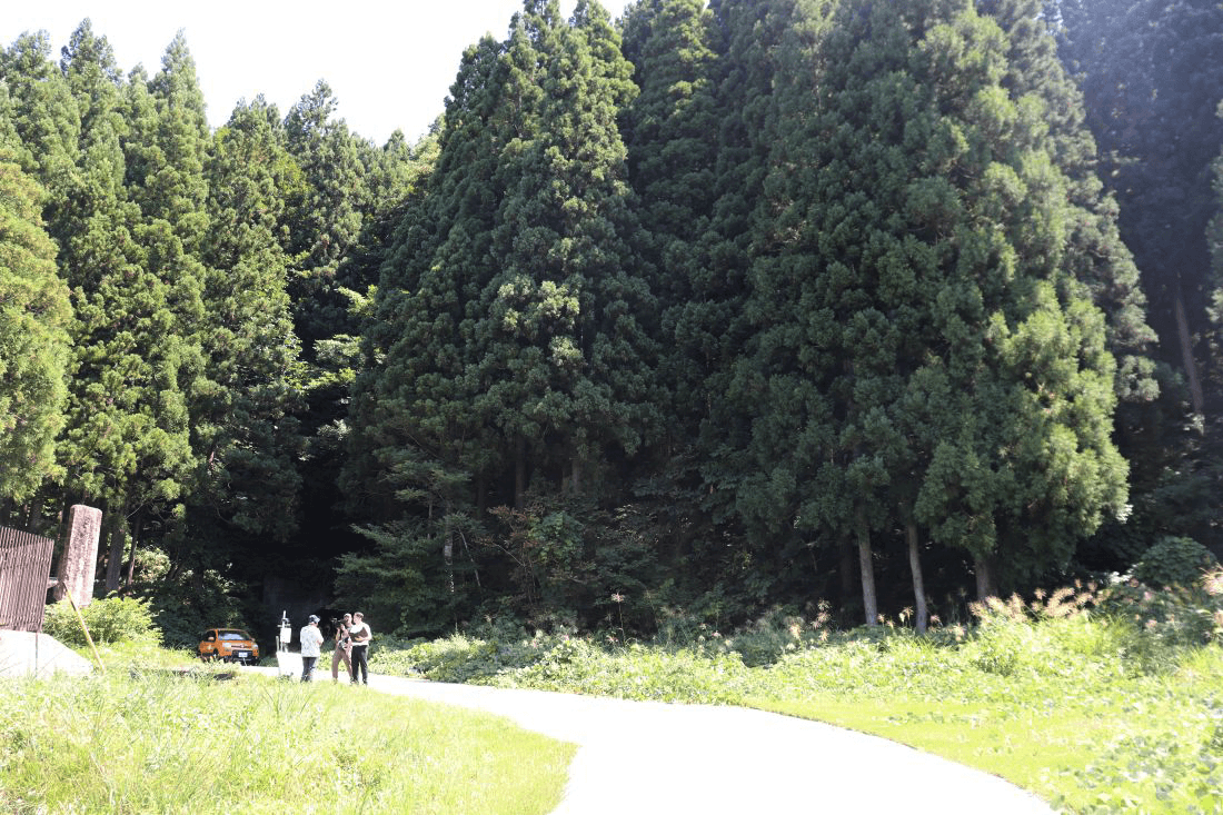 設置場所の周囲にはうっそうとした森が広がります