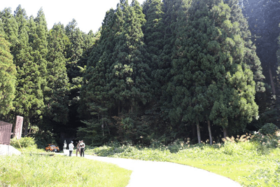 設置場所の周囲にはうっそうとした森が広がります